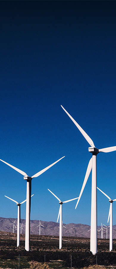 Wind farm view on a clear blue sky.